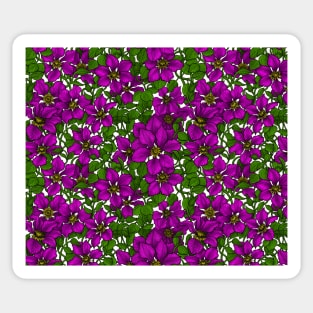 Pink Clematis vine on white Sticker